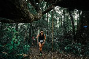 BIB: 
                            <button type="button" onclick="openModal(25391146)" class="btn btn-primary btn-sm float-right btn-popup" data-toggle="modal" data-target=".modal-high-quality">
                        <i class="fas fa-shopping-cart"></i> Add to Cart
                    </button>
                                            <button type="button" onclick="isThisMe(25391146, true)" class="btn btn-success btn-sm float-right btn-popup btn-isme hidden" data-toggle="tooltip" data-placement="bottom" title="นี่คือรูปของคุณใช่ไหม คลิกที่นี่เพื่อเอาเข้าอัลบั้ม">
                        <i class="fas fa-plus"></i> Add to album
                    </button>
                    <button type="button" onclick="isThisMe(25391146, false)" class="btn btn-warning btn-sm float-right btn-popup btn-isnotme hidden">
                        <i class="fas fa-ban"></i> Remove from album
                    </button>